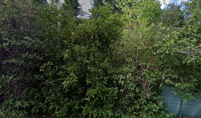 Excellence garden, Paysagiste à La Celle