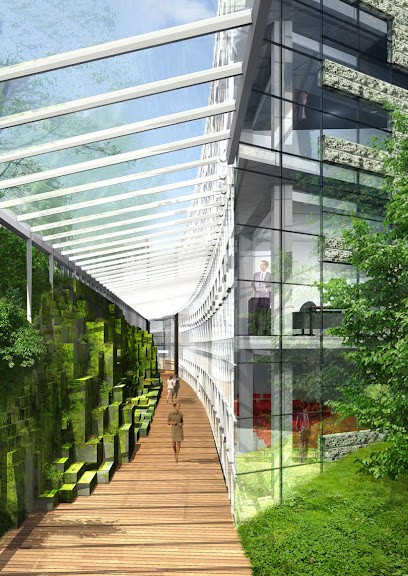 Sarl Sempervirens, Paysagiste à Paris 06