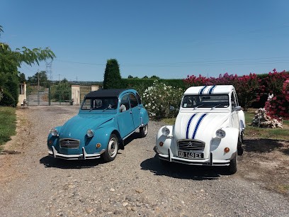 Morin Fabien Mathieu Benoit, Paysagiste à Labastide-Saint-Pierre