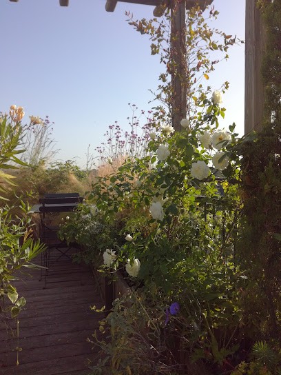 Léopold Jardinier Paysagiste, Paysagiste à Menthon-Saint-Bernard