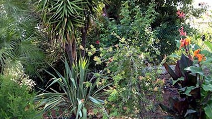 Passion Jardin En Provence, Paysagiste à Camps-la-Source