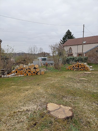 S.A.S.U Julien Tonte Taille Elagage, Paysagiste à Fougerolles