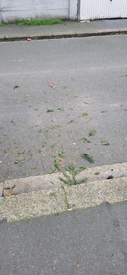 EI FLORAL PARCS ET JARDINS, Paysagiste à Bouchain