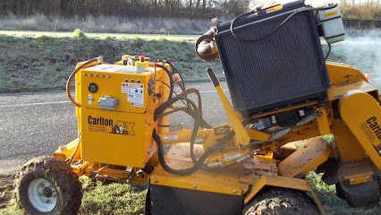 Druzba Paysage, Paysagiste à Molinchart