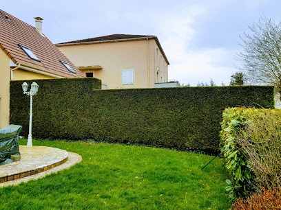 passion garden multiservice bricolage, Paysagiste à Dammarie-les-Lys