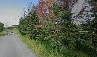 Fuentes Fabrice, Paysagiste à Lavaur