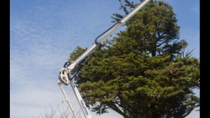 Entreprises Delorme J Paysagistes Maine Et Loire, Paysagiste à Saumur