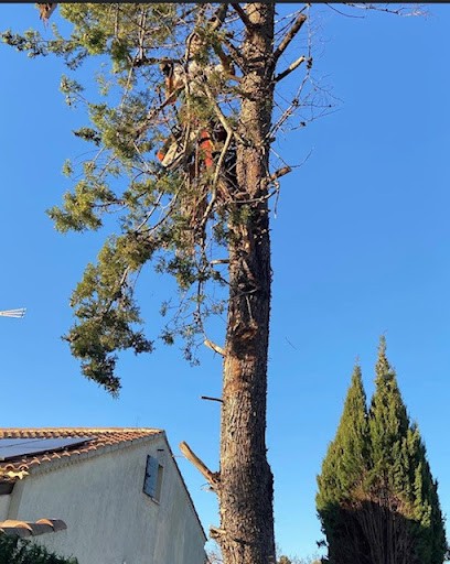 Les jardins de kevin, Paysagiste à Sarrians