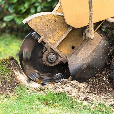 Équilibre élagage, paysagiste, jardinier, Paysagiste à Poitiers