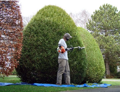 JardiProService, Paysagiste à Canteloup