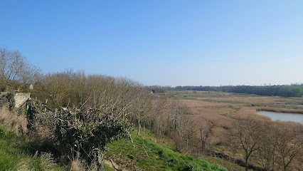 Soleil Vert, Paysagiste à Sainte-Croix-sur-Mer