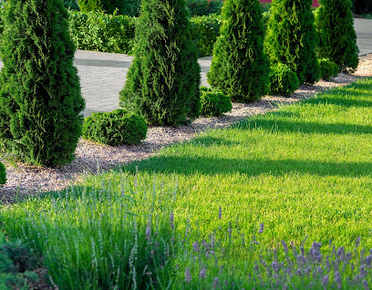 Dumas Jardin Illfurth Paysagiste à Illfurth