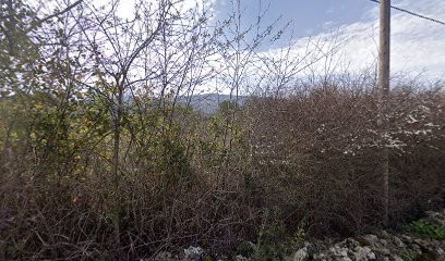 Campero Lauris, Paysagiste à Nans-les-Pins