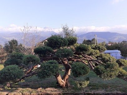 AZUR CONCEPT PAYSAGE, Paysagiste à Saint-Ismier