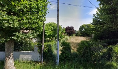 Vigneau Delphine, Paysagiste à Lège-Cap-Ferret