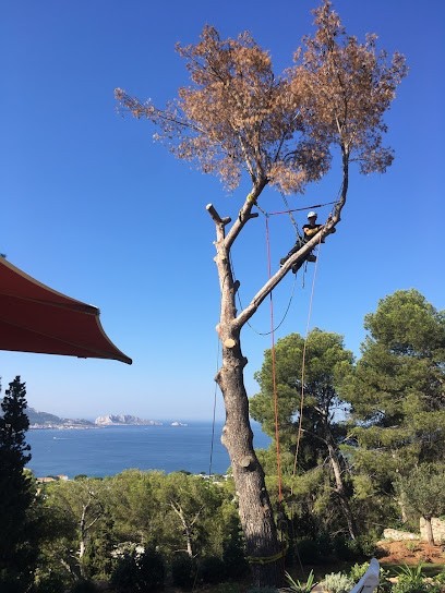 CEVE Pépinière, Paysagiste à Nans-les-Pins