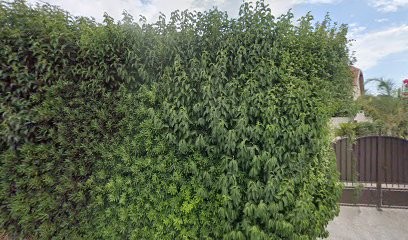 Littoral Paysage Paysage, Paysagiste à Carqueiranne