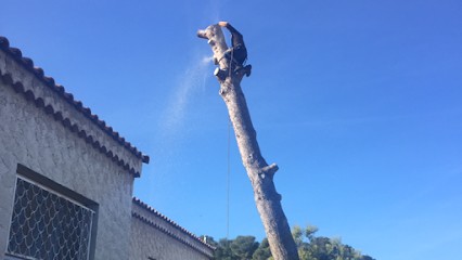 Fred Espaces Verts, Paysagiste à Châteauneuf-les-Martigues