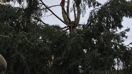 Paysagiste Descharmes Yoann, Paysagiste à Cormost