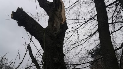 ATH 91 ESSONNE, Paysagiste à Marcoussis