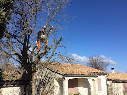 raven paysage, Paysagiste à Calais
