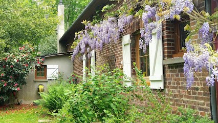 Instinct Jardin, paysagiste, Paysagiste à Mont-Saint-Aignan