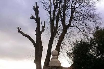 Espace Vert Du Val de l'Aisne Paysagiste, Paysagiste à Vailly-sur-Aisne