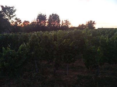 Jardi-Espace-46, Paysagiste à Albas