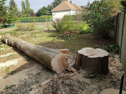 Espaces verts de l avenir, Paysagiste à Leudeville