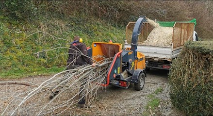 WP Elagage & Espaces verts, Paysagiste à Jaulnes