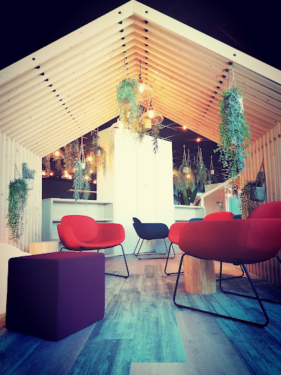 In'flor - Location De Plantes, Paysagiste D'intérieur, Paysagiste à Toulouse