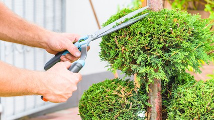 Le Gouge Thierry, Paysagiste à La Queue-en-Brie