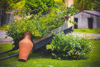 MC Paysage, Paysagiste à Charix