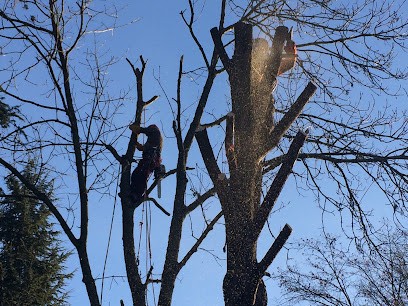 Le P Tit Jardinier, Paysagiste à Varennes-Jarcy