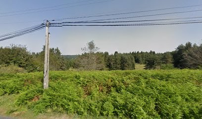 Jardins Et Paysages Du Haut Lignon, Paysagiste au Chambon-sur-Lignon