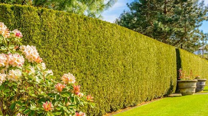 L' Auto Entreprise D'Arnaud Paysagiste, Paysagiste à Morières-lès-Avignon
