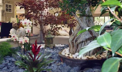 Jardin-tendance.com Sarl:albadalejo, Paysagiste à Puget