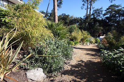 Ambiance Paysage, Paysagiste à Angresse