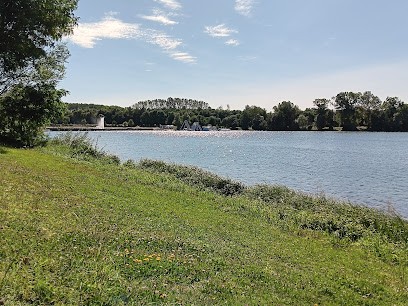 Service Universel Paysager Lemonon, Paysagiste à Cormoranche-sur-Saône