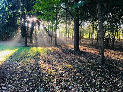 INNOV' JARDIN Paysagiste Charente Angoulême, Paysagiste à Mouthiers-sur-Boëme