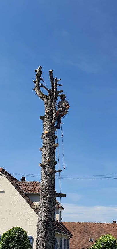 O' Jardin Nature, Paysagiste à Cuignières